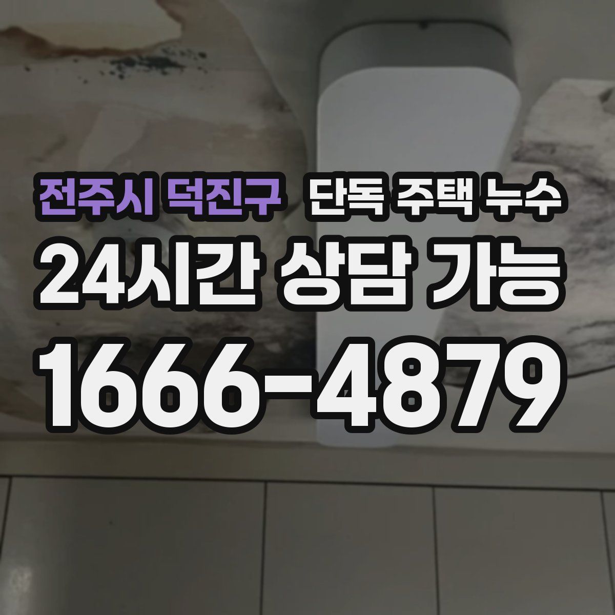 전주시 덕진구 단독 주택 누수