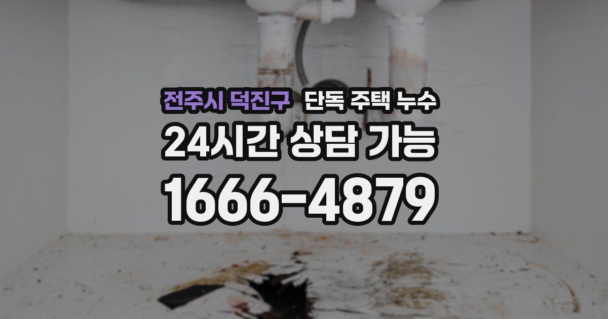 전주시 덕진구 단독 주택 누수