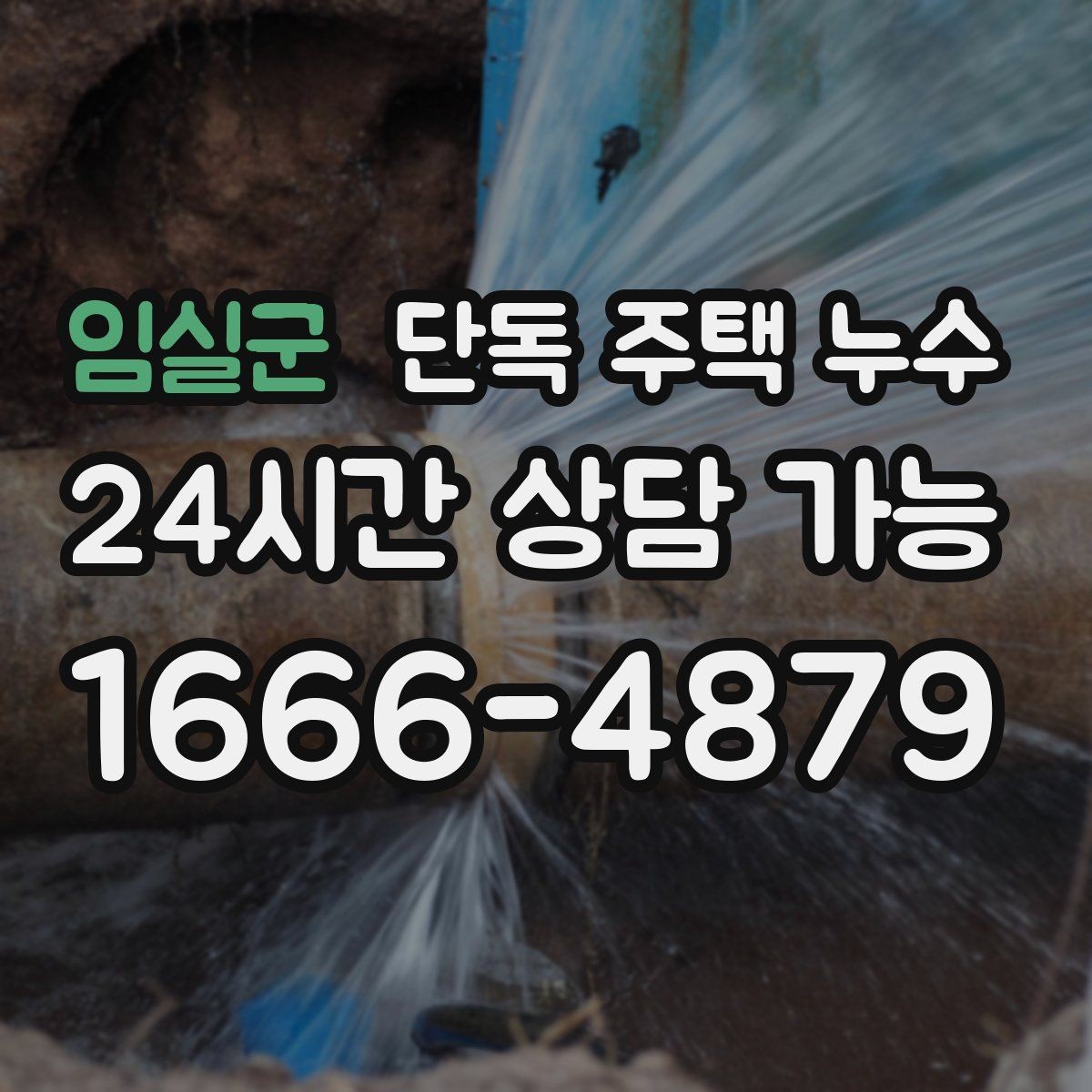 임실군 단독 주택 누수 배수관 누수로 악취와 습기가 함께 날 때