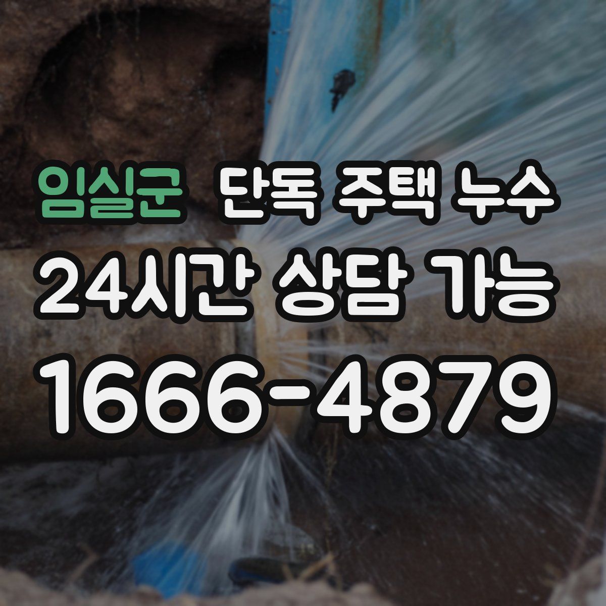 임실군 단독 주택 누수