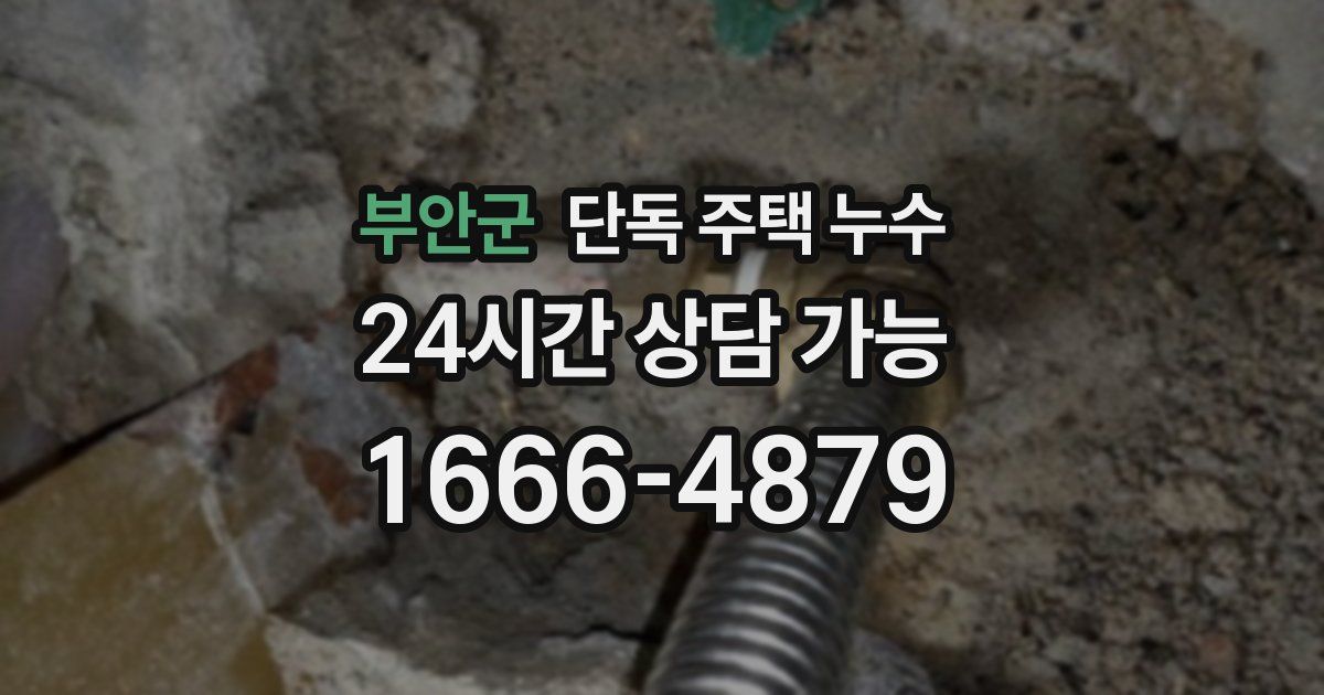 부안군 단독 주택 누수