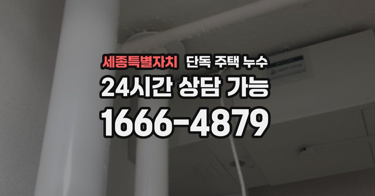 세종특별자치 단독 주택 누수