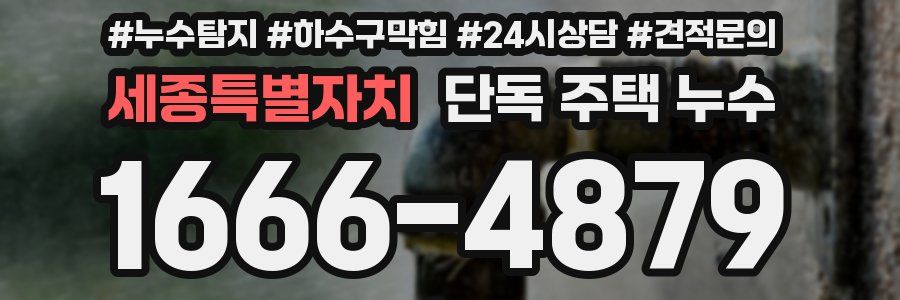 세종특별자치 단독 주택 누수