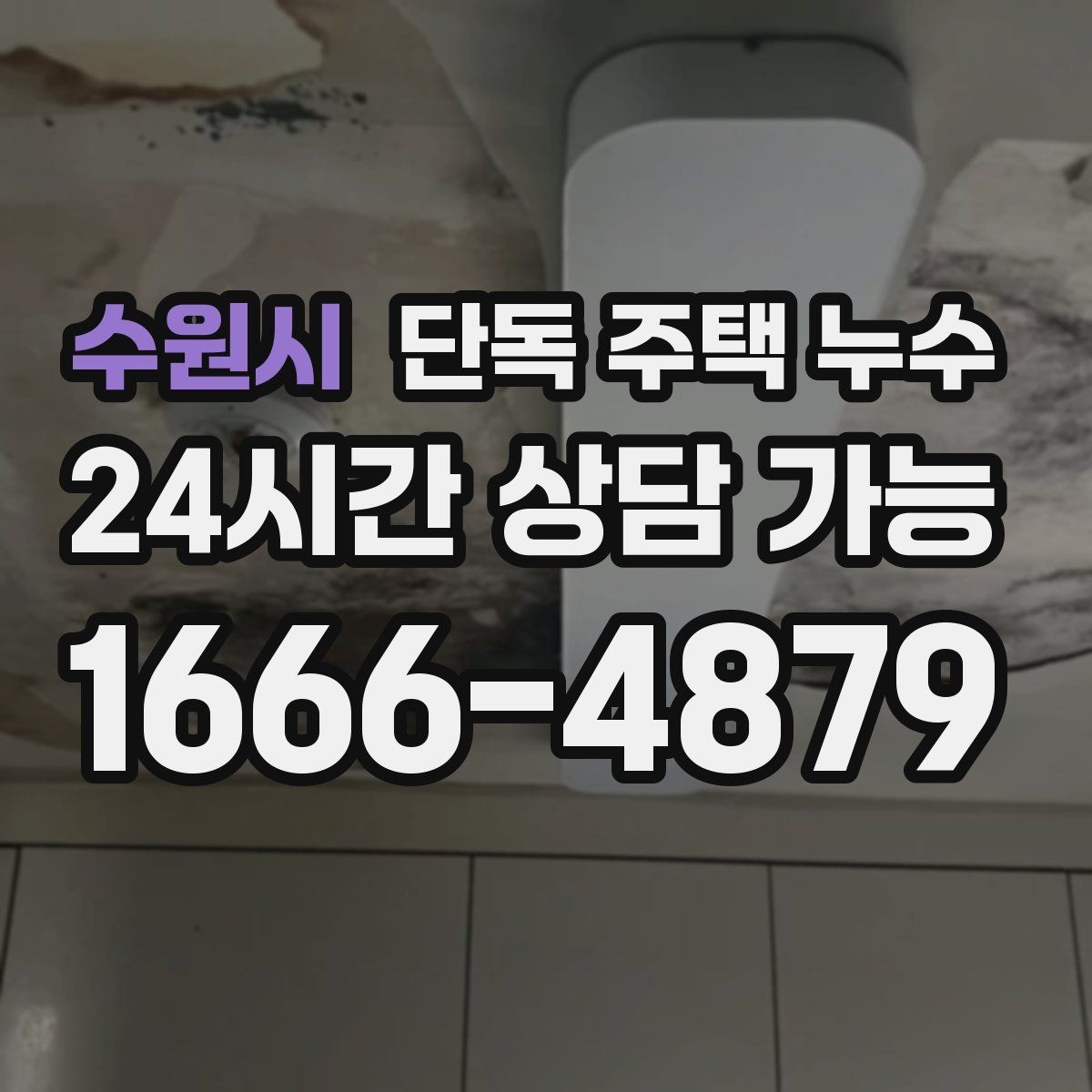 수원시 단독 주택 누수 마당 매설 배관에서 새는 경우