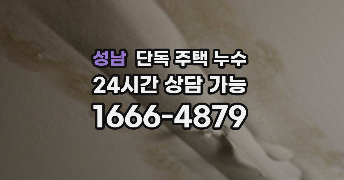 성남 단독 주택 누수