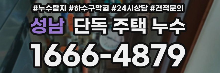 성남 단독 주택 누수