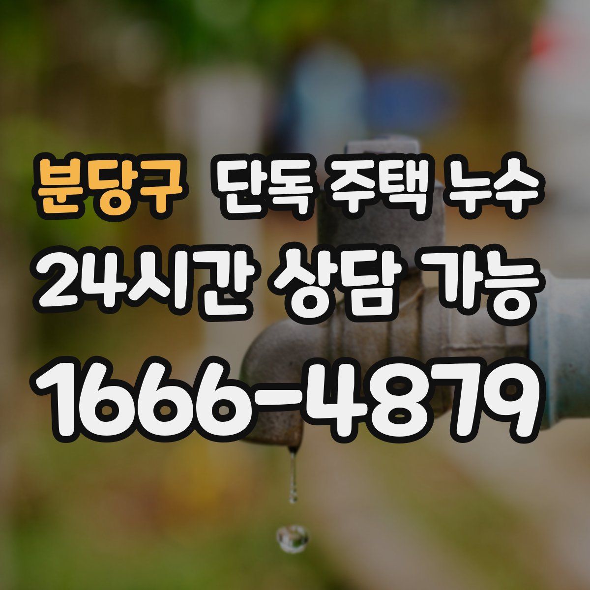 분당구 단독 주택 누수