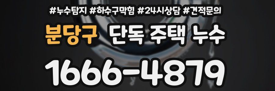 분당구 단독 주택 누수