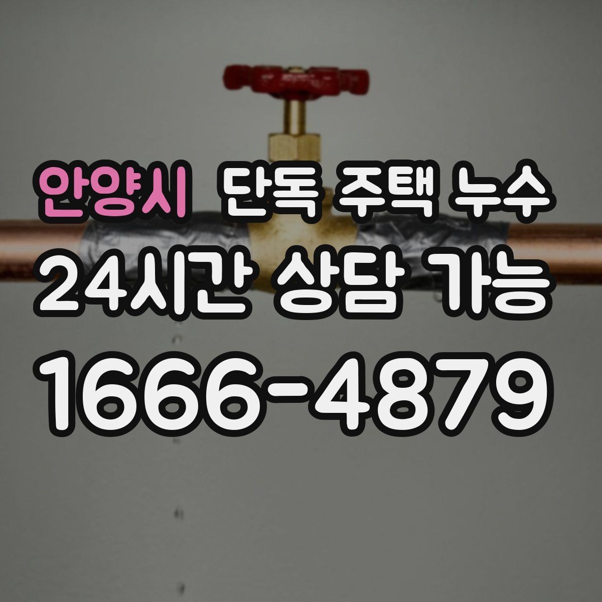 안양시 단독 주택 누수 주방 쪽만 젖을 때 배관 가능성