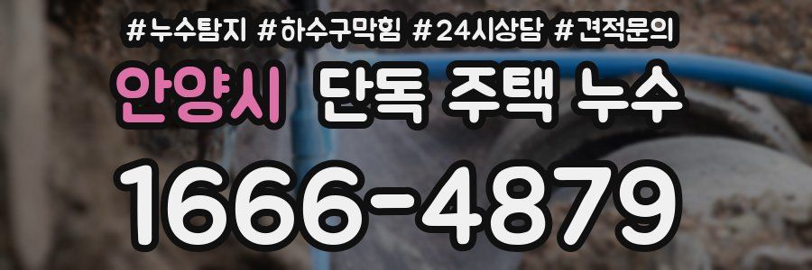 안양시 단독 주택 누수