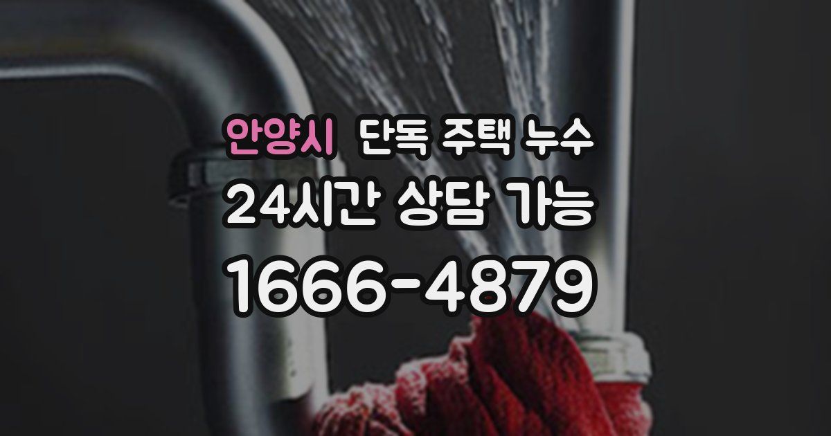 안양시 단독 주택 누수