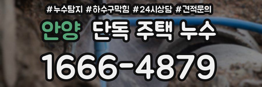안양 단독 주택 누수