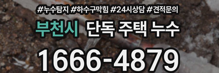 부천시 단독 주택 누수