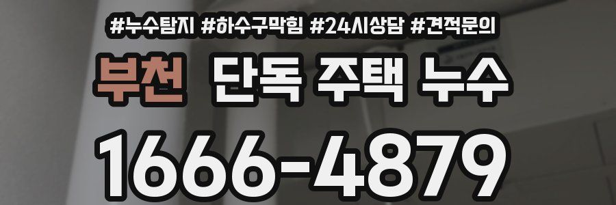 부천 단독 주택 누수