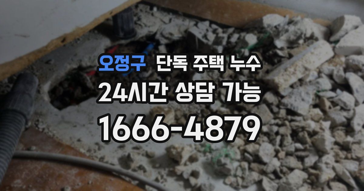 오정구 단독 주택 누수