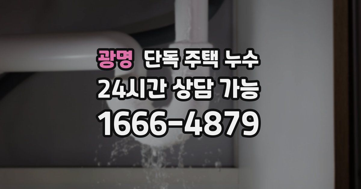 광명 단독 주택 누수