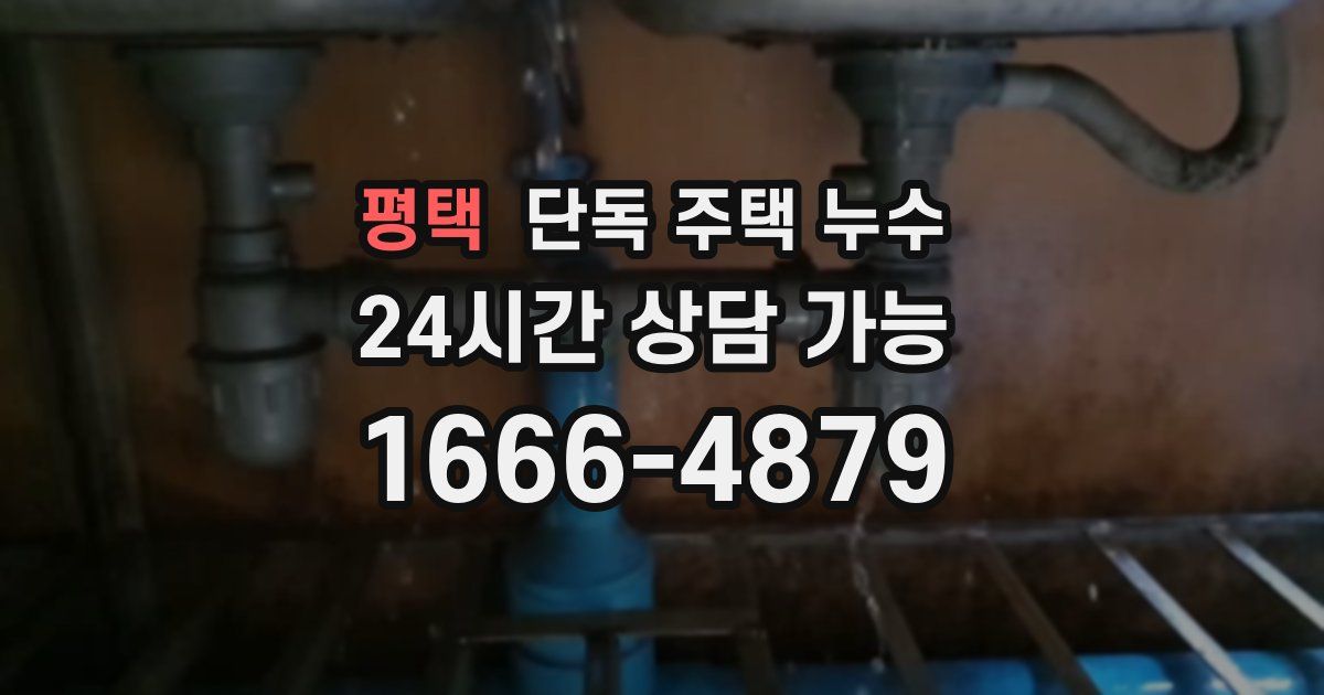 평택 단독 주택 누수