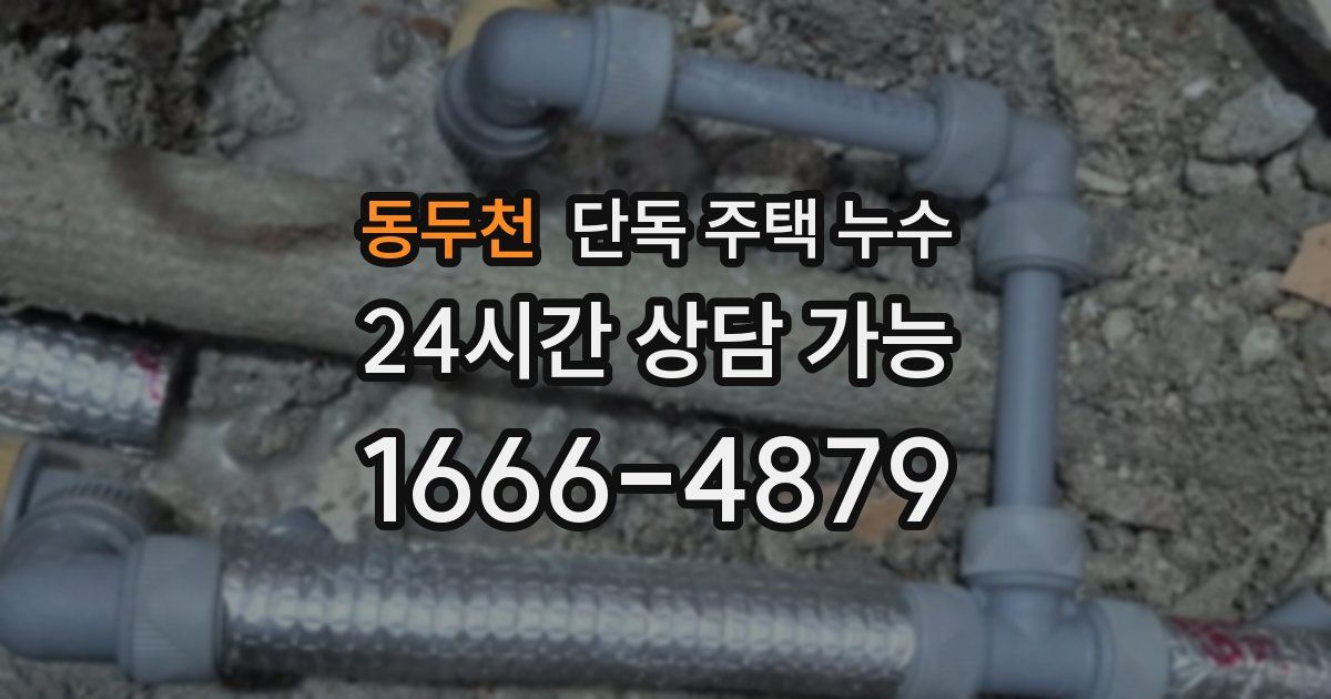 동두천 단독 주택 누수