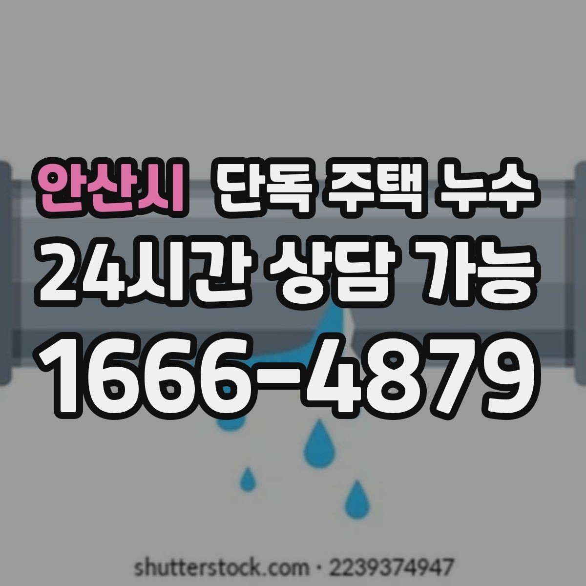 안산시 단독 주택 누수 샤워부스 하부에서 물이 스며들 때