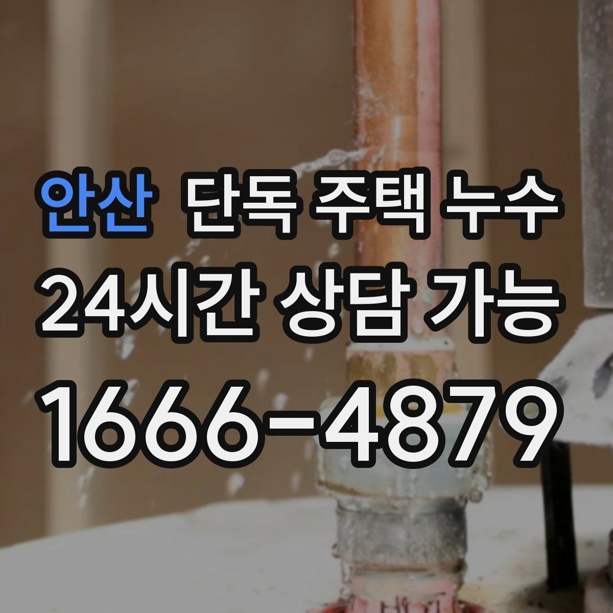 안산 단독 주택 누수 지붕에서 물 새는 증상 점검 포인트