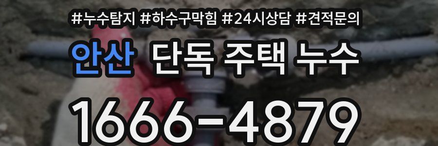 안산 단독 주택 누수