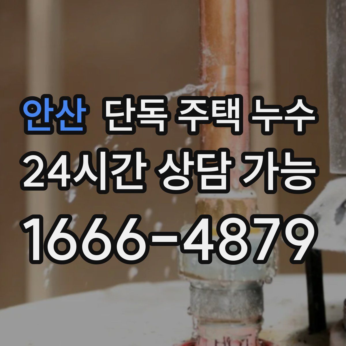 안산 단독 주택 누수