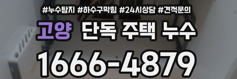 고양 단독 주택 누수