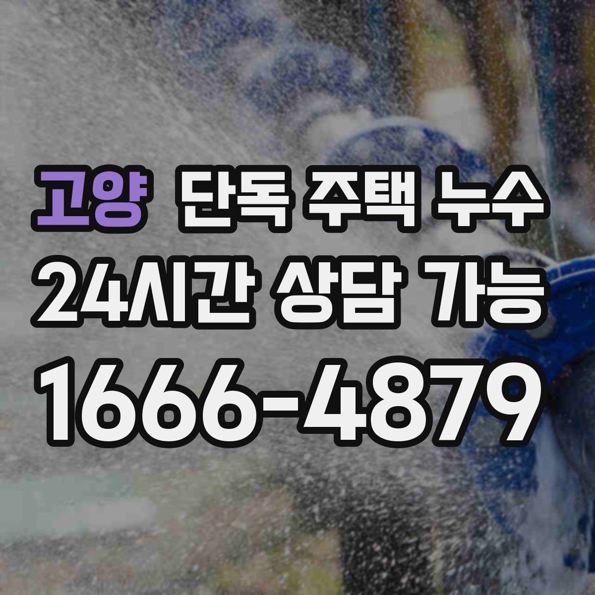 고양 단독 주택 누수