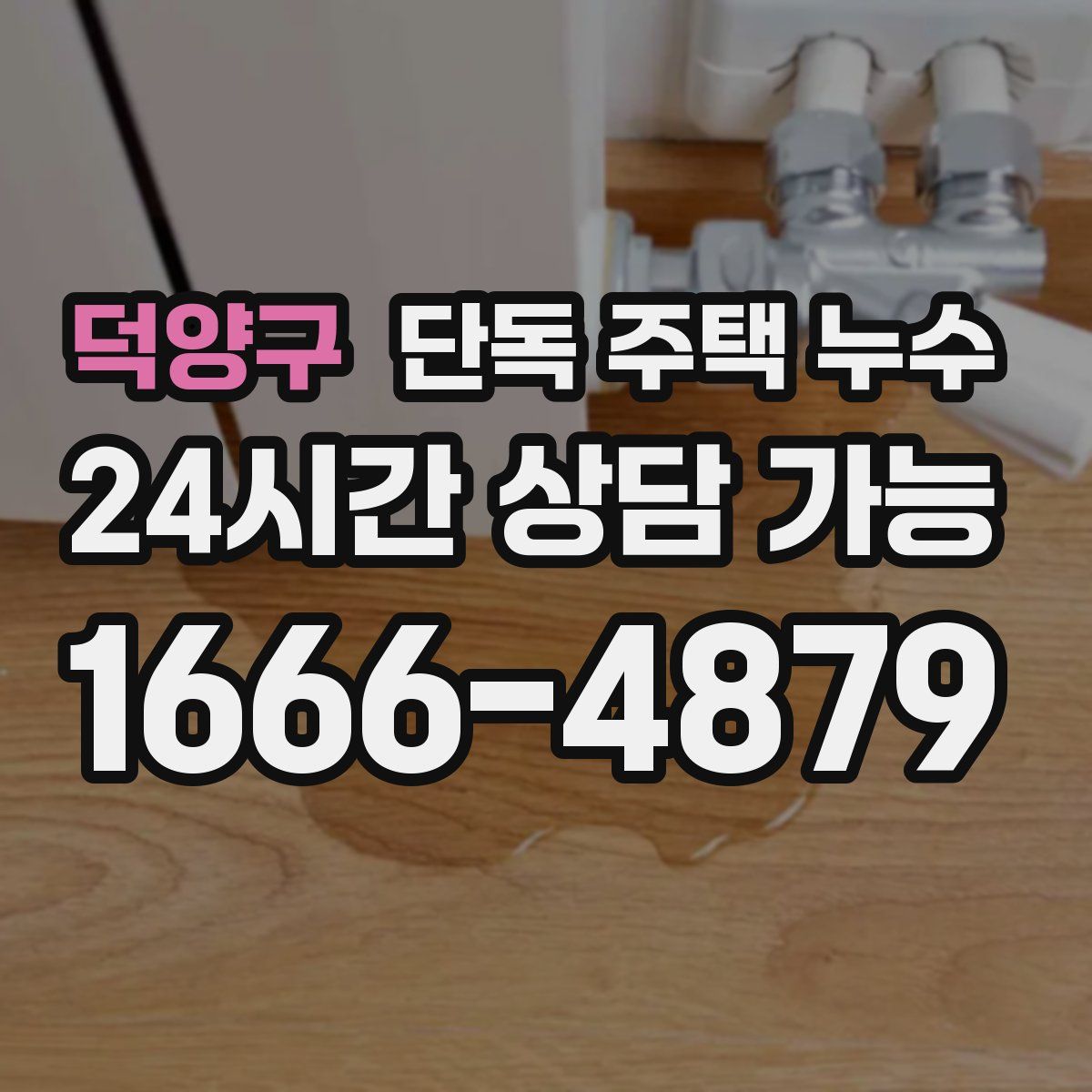 덕양구 단독 주택 누수