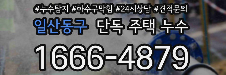 일산동구 단독 주택 누수