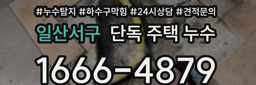일산서구 단독 주택 누수