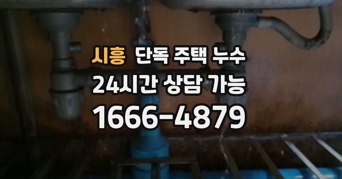 시흥 단독 주택 누수