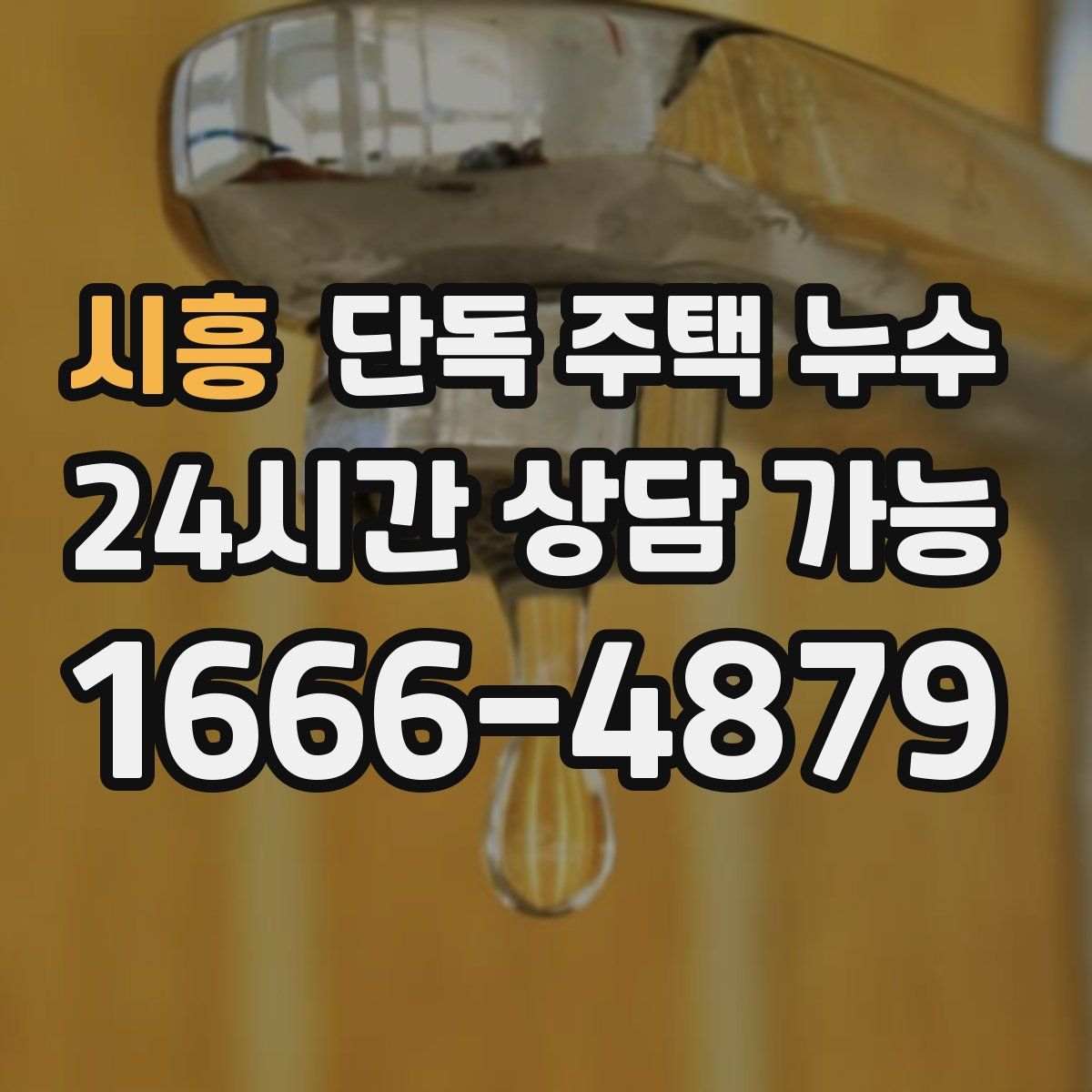 시흥 단독 주택 누수