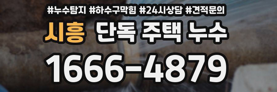 시흥 단독 주택 누수