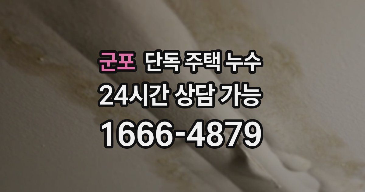 군포 단독 주택 누수