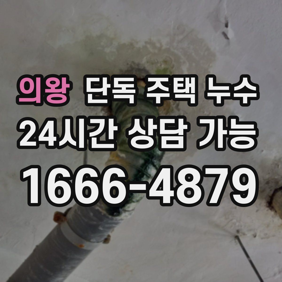 의왕 단독 주택 누수 현관 옆 벽이 젖는다면 외부 배수 점검