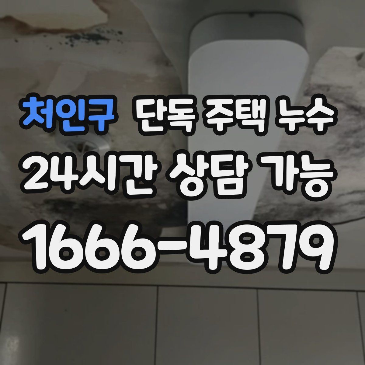 처인구 단독 주택 누수 수리 전 도배 장판을 하면 안 되는 이유