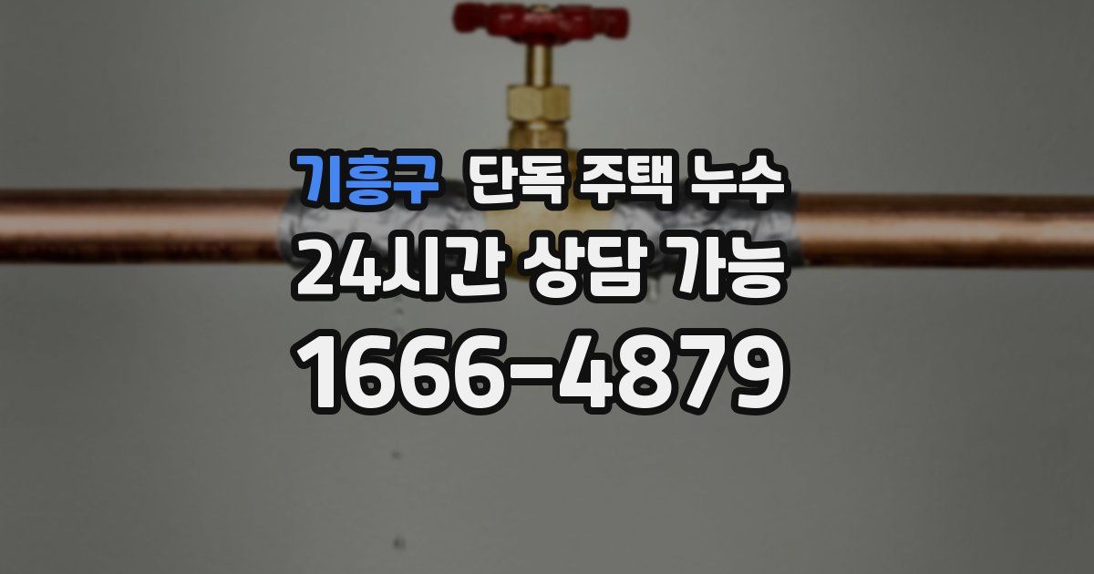 기흥구 단독 주택 누수