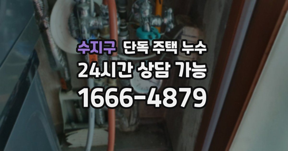 수지구 단독 주택 누수