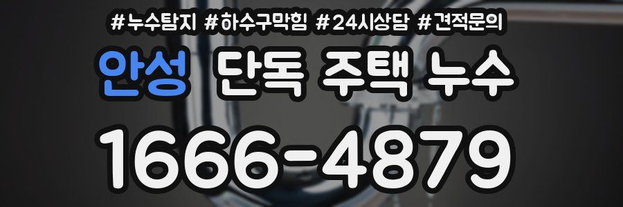 안성 단독 주택 누수