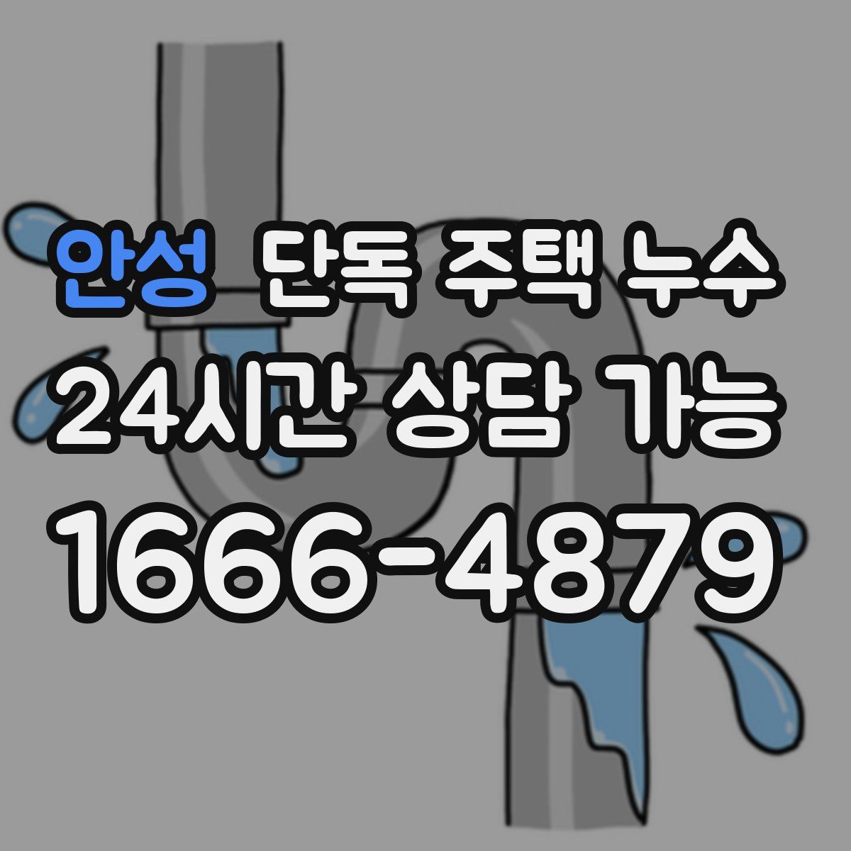 안성 단독 주택 누수