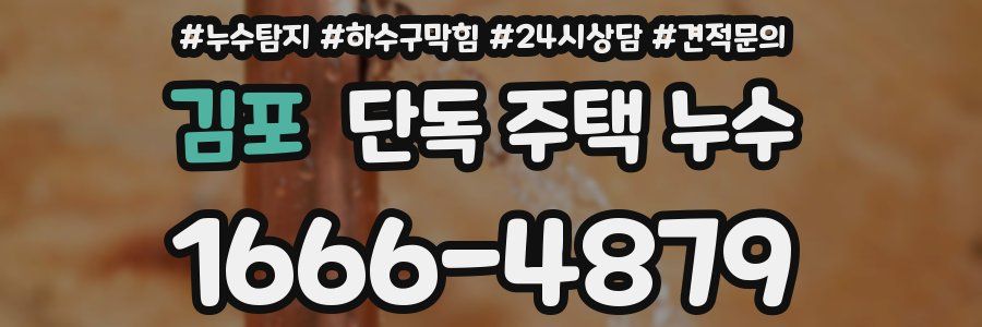 김포 단독 주택 누수