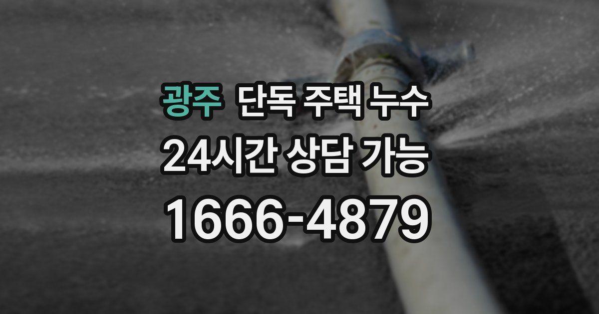 광주 단독 주택 누수