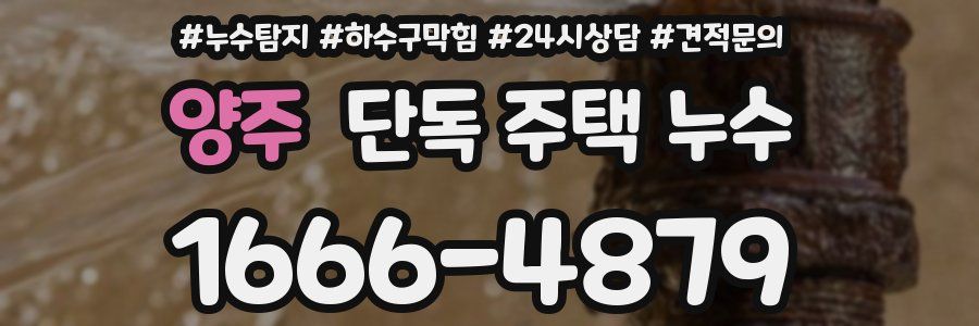 양주 단독 주택 누수