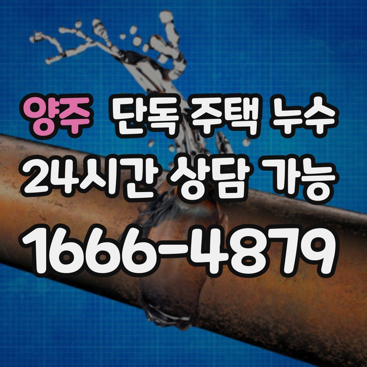 양주 단독 주택 누수