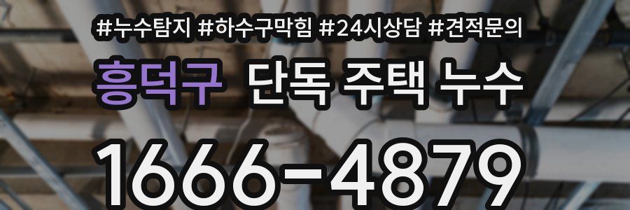 흥덕구 단독 주택 누수