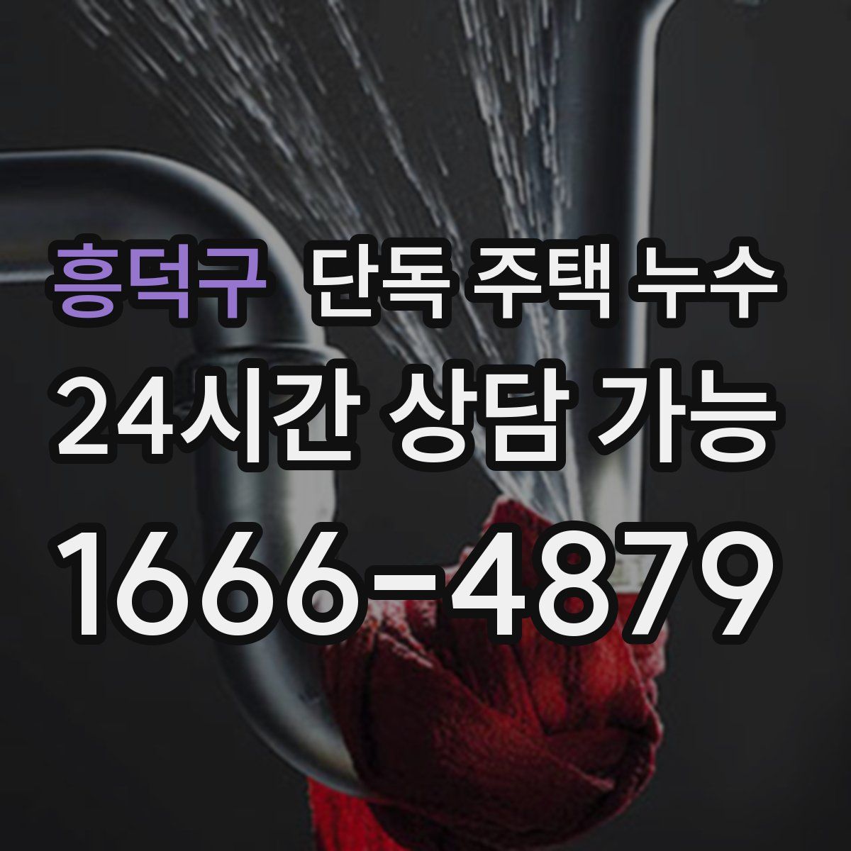 흥덕구 단독 주택 누수
