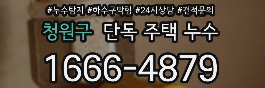 청원구 단독 주택 누수