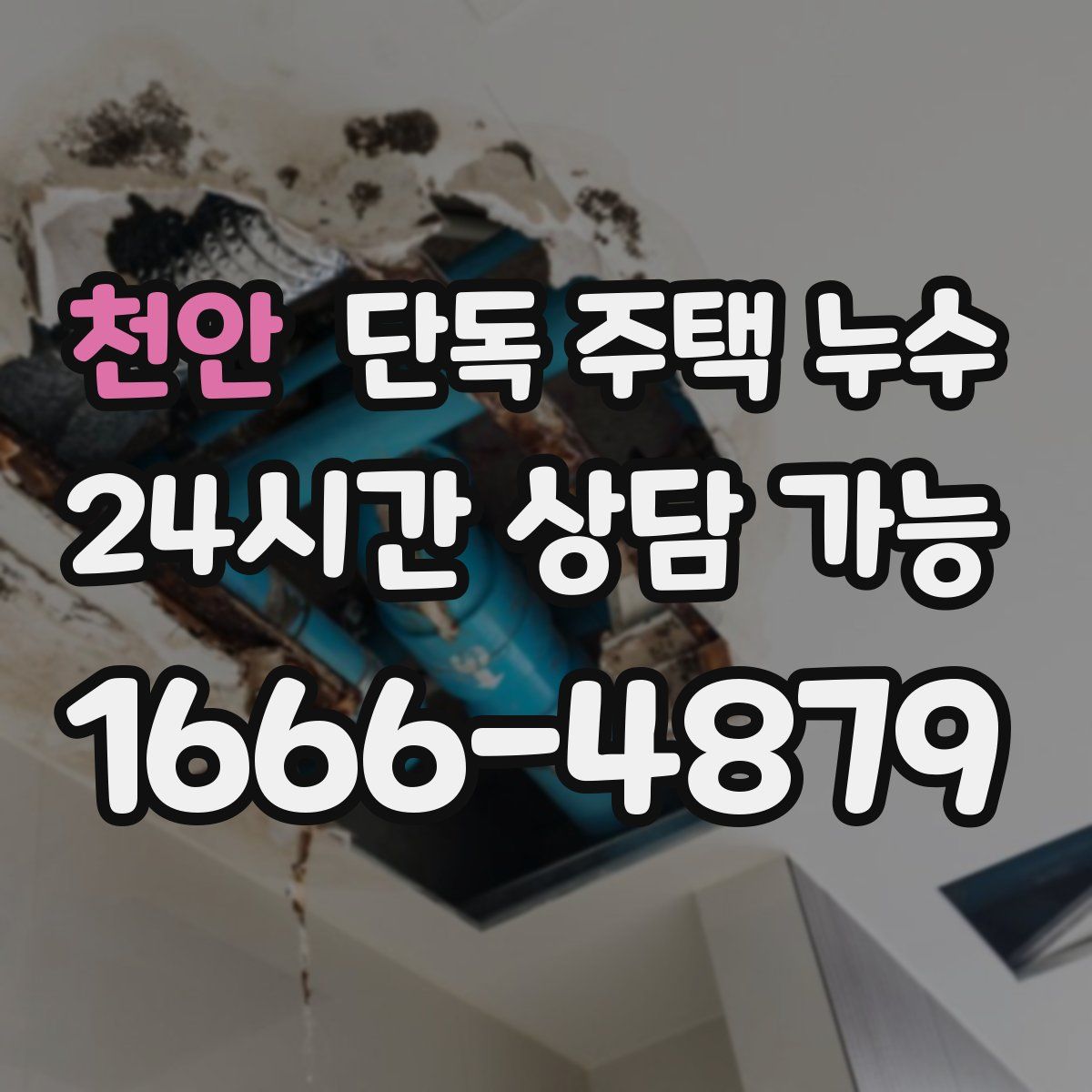 천안 단독 주택 누수