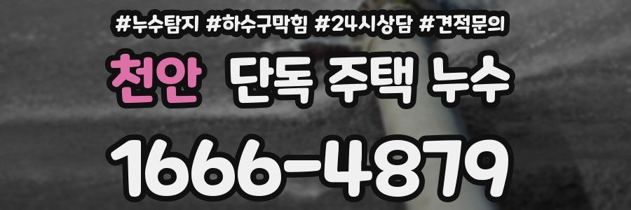 천안 단독 주택 누수